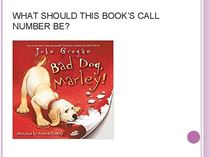 WHAT SHOULD THIS BOOK’S CALL NUMBER BE? 