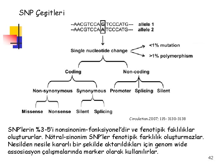 SNP Çeşitleri Circulation. 2007; 115: 3130 -3138 SNP’lerin %3 -5’i nonsinonim-fonksiyonel’dir ve fenotipik faklılıklar