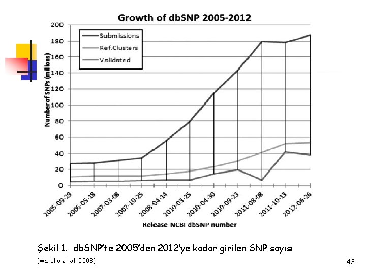 Şekil 1. db. SNP’te 2005’den 2012’ye kadar girilen SNP sayısı (Matullo et al. 2003)