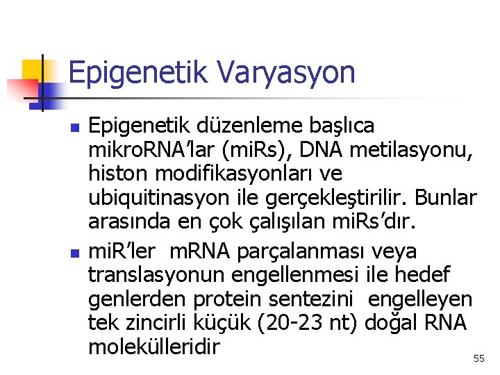 Epigenetik Varyasyon n n Epigenetik düzenleme başlıca mikro. RNA’lar (mi. Rs), DNA metilasyonu, histon