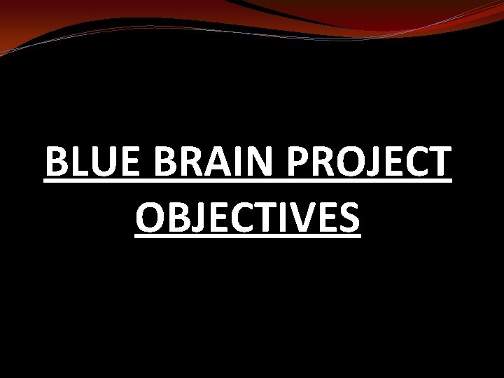 BLUE BRAIN PROJECT OBJECTIVES 