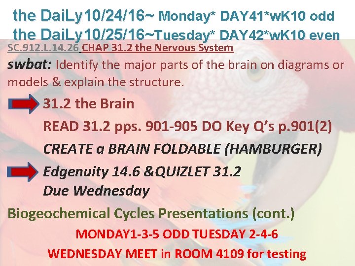 Lesson Overview What is Ecology? the Dai. Ly 10/24/16~ Monday* DAY 41*w. K 10