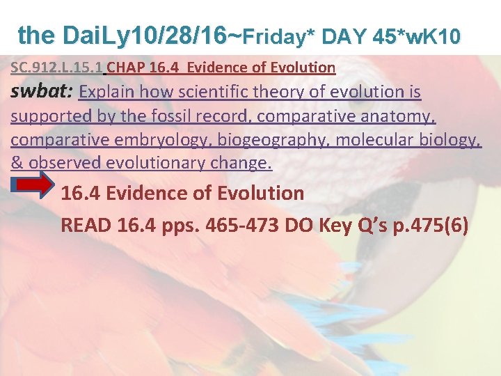 Lesson Overview What is Ecology? the Dai. Ly 10/28/16~Friday* DAY 45*w. K 10 SC.