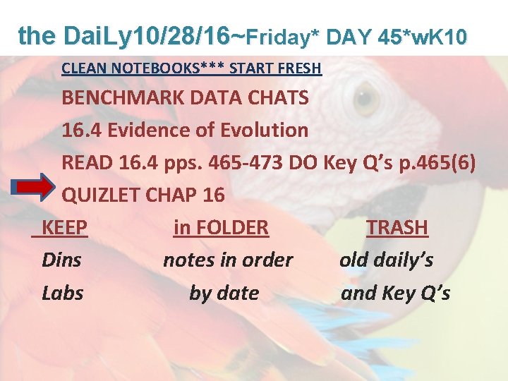 Lesson Overview What is Ecology? the Dai. Ly 10/28/16~Friday* DAY 45*w. K 10 CLEAN