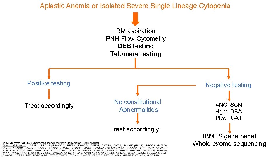 Aplastic Anemia or Isolated Severe Single Lineage Cytopenia BM aspiration PNH Flow Cytometry DEB