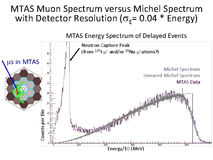 MTAS Muon Spectrum versus Michel Spectrum with Detector Resolution (s. E= 0. 04 *