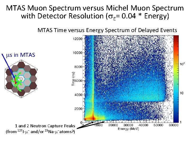 MTAS Muon Spectrum versus Michel Muon Spectrum with Detector Resolution (s. E= 0. 04