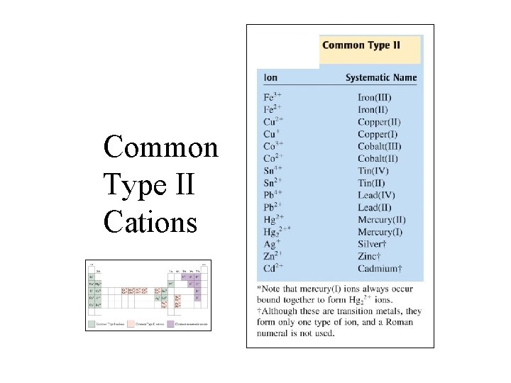 Common Type II Cations 