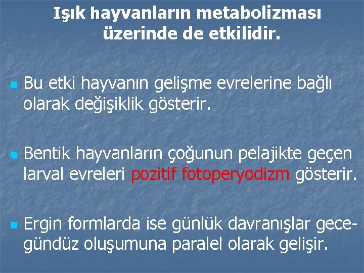 Işık hayvanların metabolizması üzerinde de etkilidir. n n n Bu etki hayvanın gelişme evrelerine