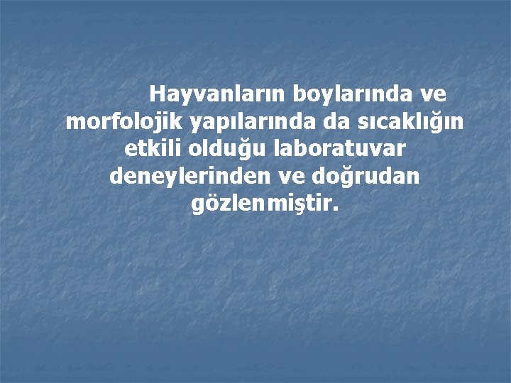 Hayvanların boylarında ve morfolojik yapılarında da sıcaklığın etkili olduğu laboratuvar deneylerinden ve doğrudan gözlenmiştir.