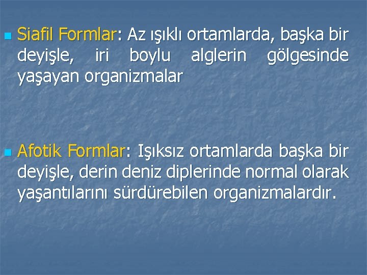 n n Siafil Formlar: Az ışıklı ortamlarda, başka bir deyişle, iri boylu alglerin gölgesinde