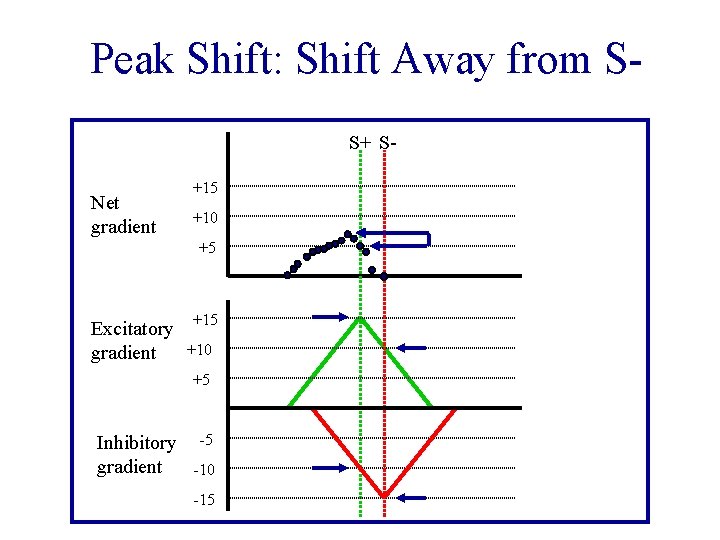 Peak Shift: Shift Away from SS+ SNet gradient +15 +10 +5 Excitatory gradient +15
