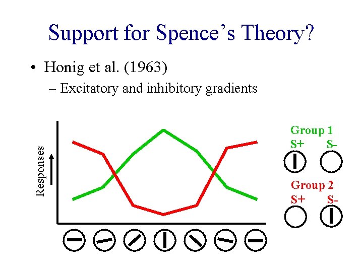 Support for Spence’s Theory? • Honig et al. (1963) Responses – Excitatory and inhibitory