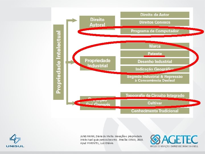 JUNGMANN, Diana de Mello. Inovação e propriedade intelectual: guia para o docente. Brasília: SENAI,