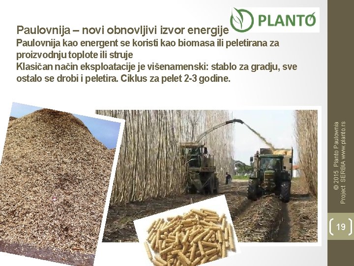 Paulovnija – novi obnovljivi izvor energije © 2015 Planto Paulownia Project SERBIA www. planto.