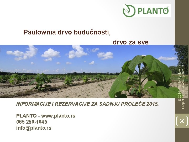 Paulownia drvo budućnosti, INFORMACIJE I REZERVACIJE ZA SADNJU PROLEĆE 2015. PLANTO - www. planto.