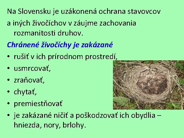 Na Slovensku je uzákonená ochrana stavovcov a iných živočíchov v záujme zachovania rozmanitosti druhov.