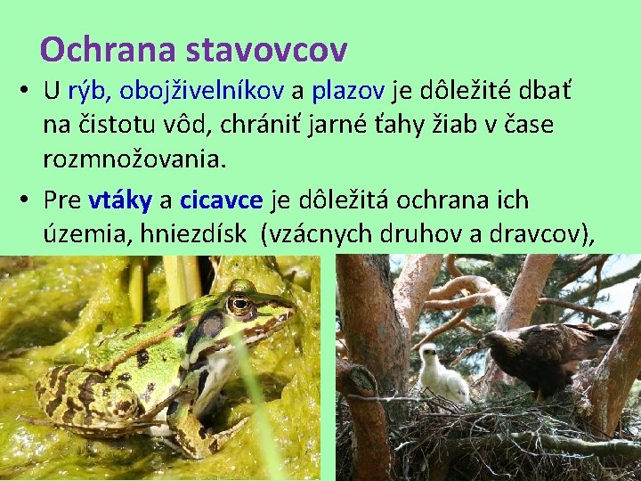 Ochrana stavovcov • U rýb, obojživelníkov a plazov je dôležité dbať na čistotu vôd,