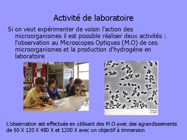 Activité de laboratoire Si on veut expérimenter de voisin l'action des microorganismes il est