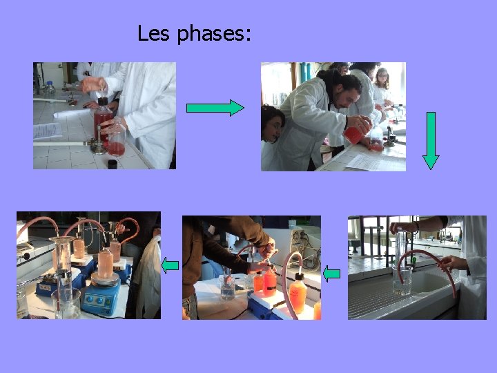 Les phases: 