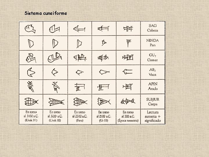 Sistema cuneiforme 