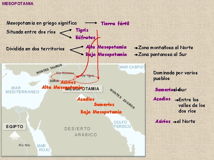 MESOPOTAMIA Mesopotamia en griego significa Situada entre dos ríos Tierra fértil Tigris Eúfrates Alta