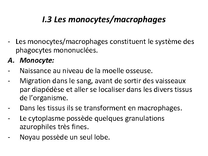 I. 3 Les monocytes/macrophages - Les monocytes/macrophages constituent le système des phagocytes mononuclées. A.
