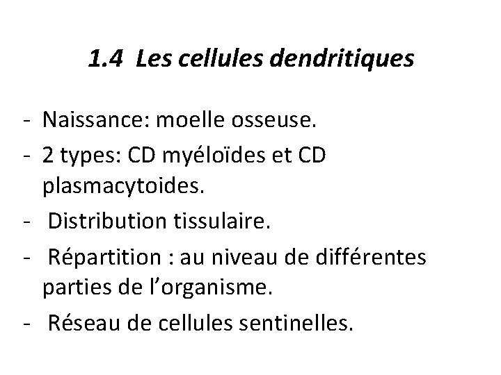 1. 4 Les cellules dendritiques - Naissance: moelle osseuse. - 2 types: CD myéloïdes