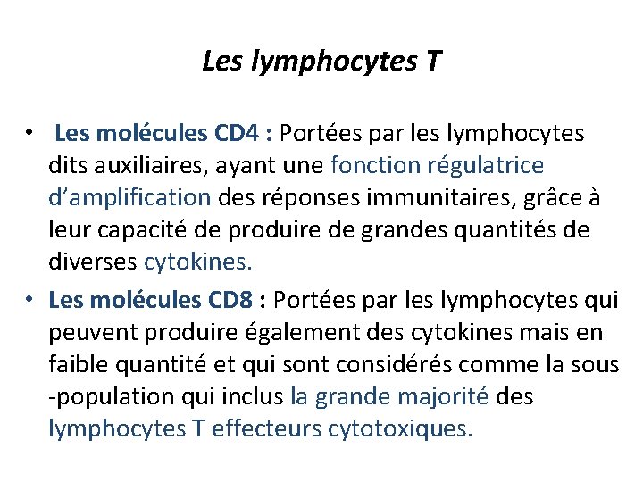 Les lymphocytes T • Les molécules CD 4 : Portées par les lymphocytes dits