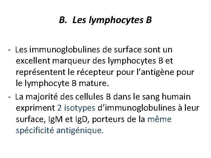 B. Les lymphocytes B - Les immunoglobulines de surface sont un excellent marqueur des