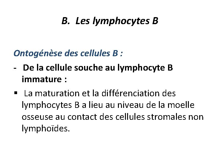 B. Les lymphocytes B Ontogénèse des cellules B : - De la cellule souche