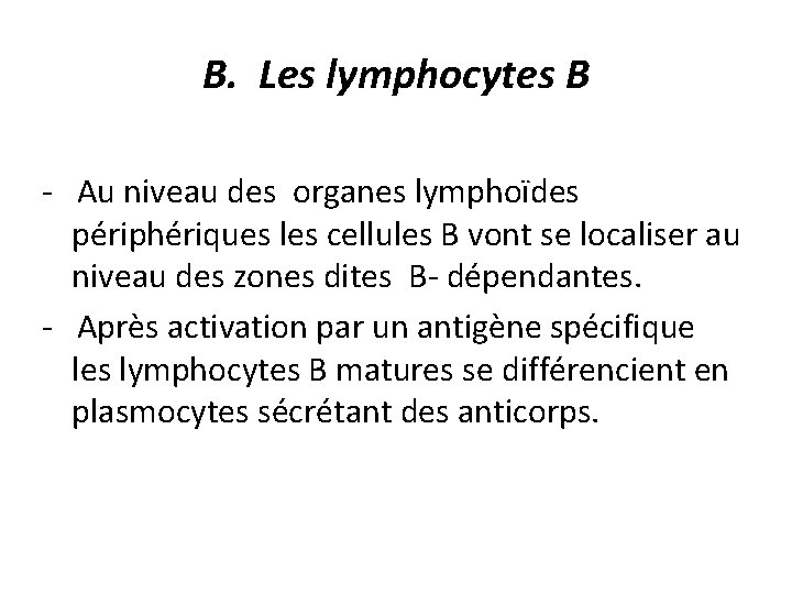 B. Les lymphocytes B - Au niveau des organes lymphoïdes périphériques les cellules B