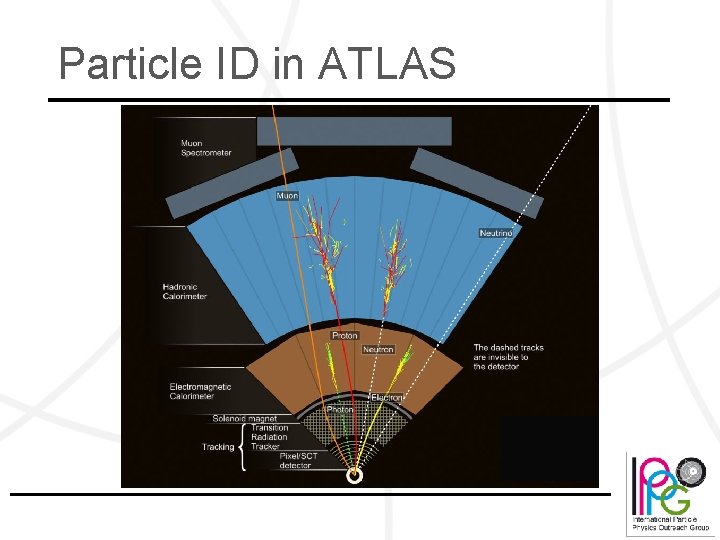 Particle ID in ATLAS 