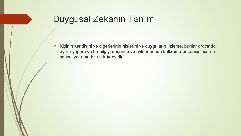 Duygusal Zekanın Tanımı Kişinin kendisini ve diğerlerinin hislerini ve duygularını izleme, bunlar arasında ayrım