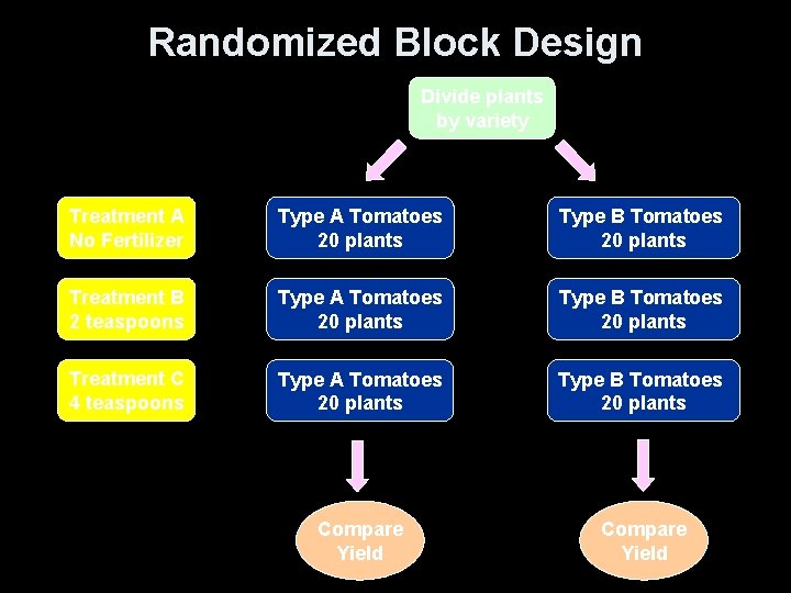Randomized Block Design Divide plants by variety Treatment A No Fertilizer Type A Tomatoes