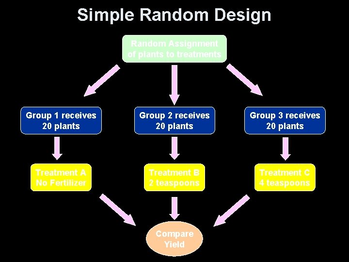 Simple Random Design Random Assignment of plants to treatments Group 1 receives 20 plants