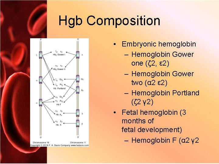 Hgb Composition • Embryonic hemoglobin – Hemoglobin Gower one (ζ 2, ε 2) –