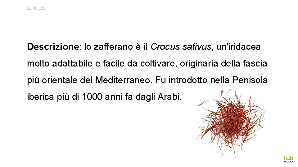 LE SPEZIE Descrizione: lo zafferano è il Crocus sativus, un'iridacea molto adattabile e facile