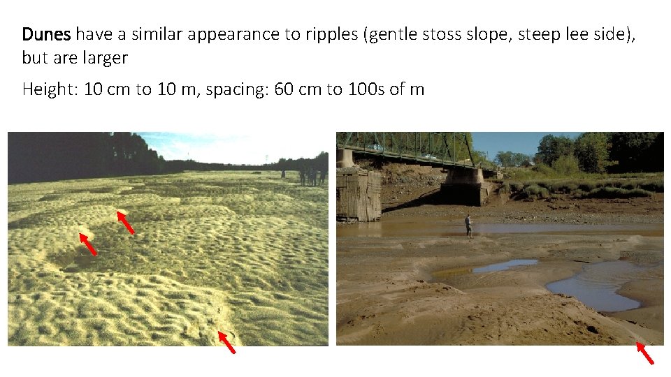 Dunes have a similar appearance to ripples (gentle stoss slope, steep lee side), but