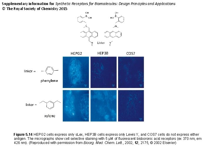 Supplementary information for Synthetic Receptors for Biomolecules: Design Principles and Applications © The Royal