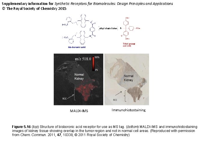 Supplementary information for Synthetic Receptors for Biomolecules: Design Principles and Applications © The Royal