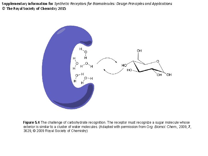 Supplementary information for Synthetic Receptors for Biomolecules: Design Principles and Applications © The Royal