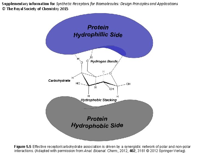 Supplementary information for Synthetic Receptors for Biomolecules: Design Principles and Applications © The Royal