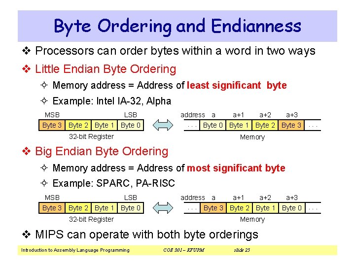 Byte Ordering and Endianness v Processors can order bytes within a word in two