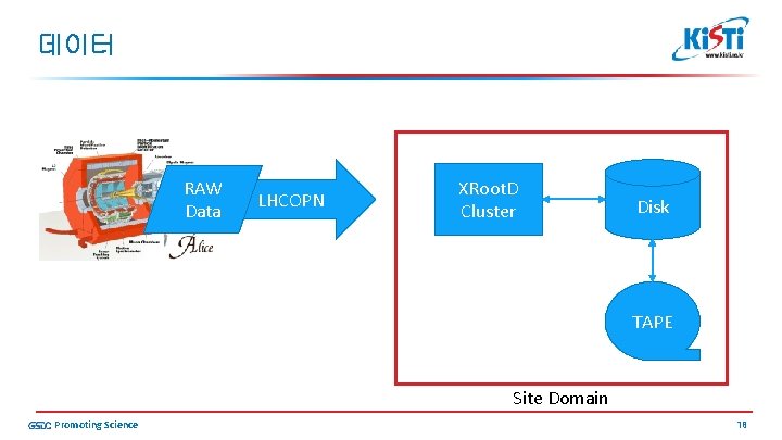 데이터 RAW Data LHCOPN XRoot. D Cluster Disk TAPE Site Domain Promoting Science 18