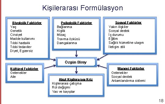 Kişilerarası Formülasyon Biyolojik Faktörler Yaş Genetik Cinsiyet Madde kullanımı Tıbbi hastalık Tıbbi tedaviler Diyet,