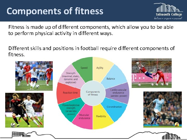Components of fitness Sidmouth College Fitness is made up of different components, which allow