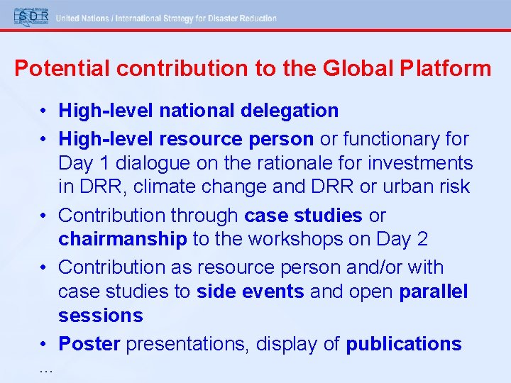 Potential contribution to the Global Platform • High-level national delegation • High-level resource person