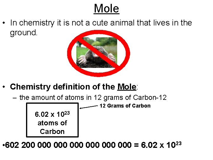 Mole • In chemistry it is not a cute animal that lives in the