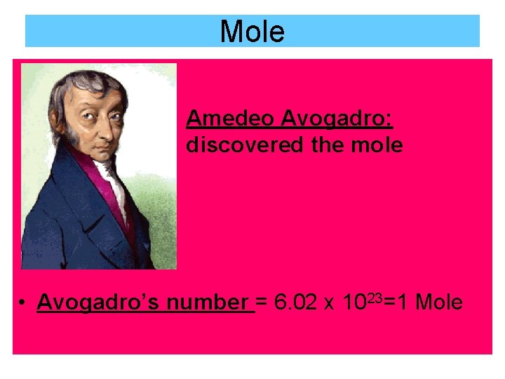 Mole Amedeo Avogadro: discovered the mole • Avogadro’s number = 6. 02 x 1023=1